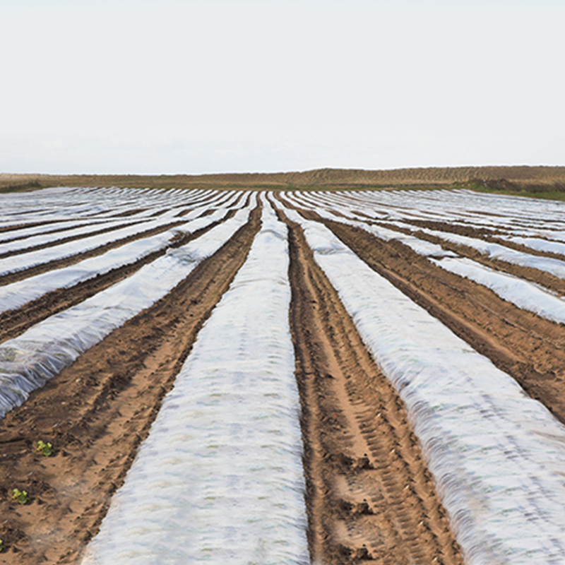 Tecido não tecido não tecido agrícola de emenda ultra larga