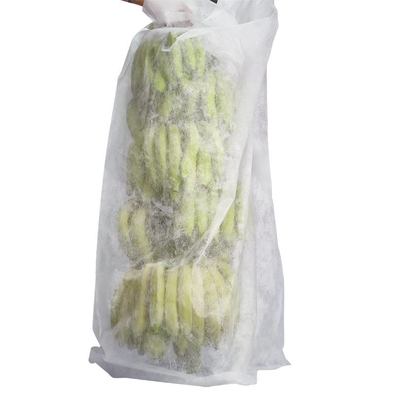 Tecido de bananeira de capa de planta não tecida