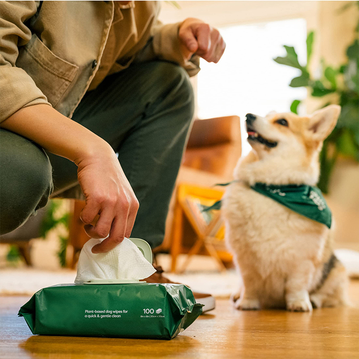 Pet Wet Wipes Guia do Usuário: Funções, Seleção e Precauções